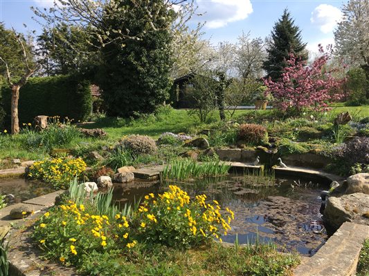 Farmhouse garden pond